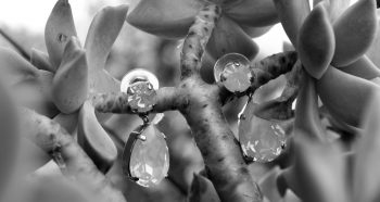 GOTTE DE PLUIE - Imagen 2